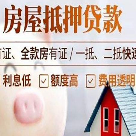 上栗贷款助贷公司新渝启服成立时间久